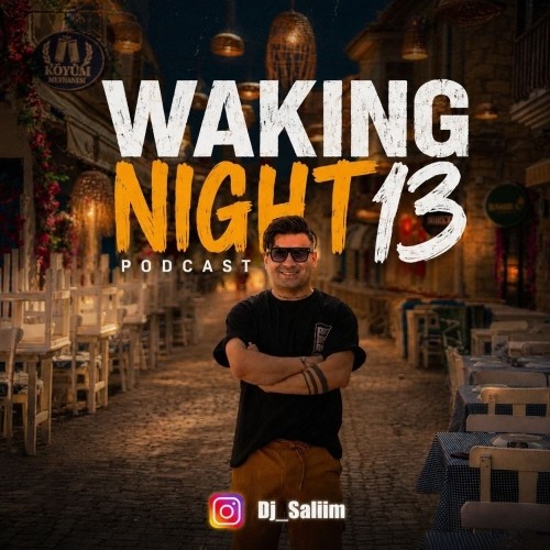 دانلود پادکست جدید دیجی سلیم به نام Waking Night 13